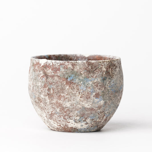 Akari Karugane Cup
