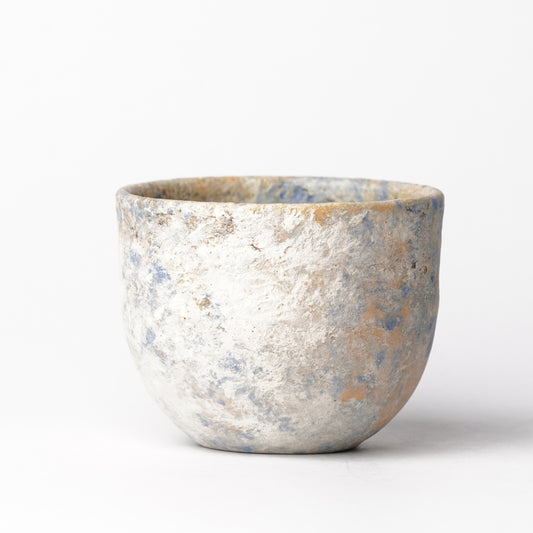 Akari Karugane Cup