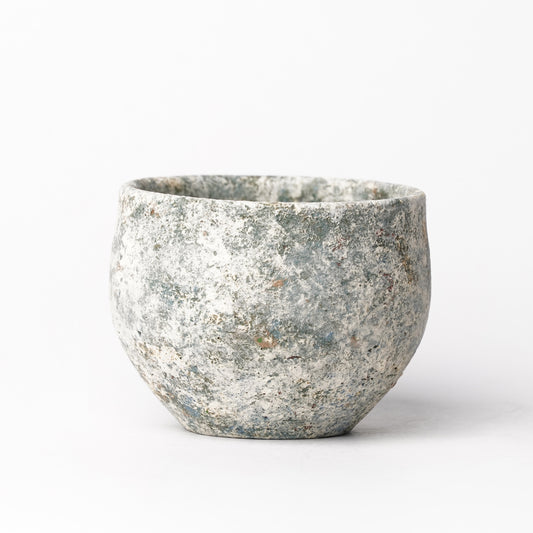 Akari Karugane Cup