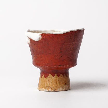 Atsushi Nakata Cup