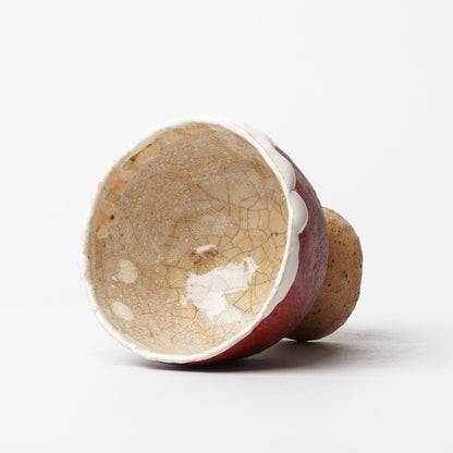 Atsushi Nakata Cup