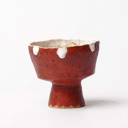 Atsushi Nakata Cup