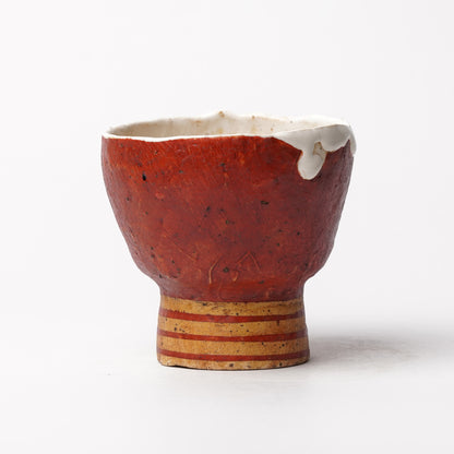 Atsushi Nakata Cup