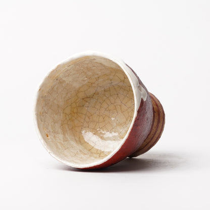 Atsushi Nakata Cup