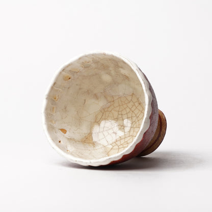 Atsushi Nakata Cup
