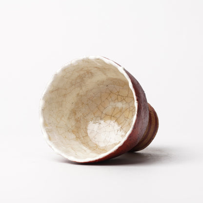 Atsushi Nakata Cup