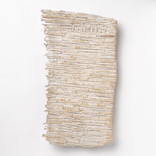 Atsushi Nakata Long Plate