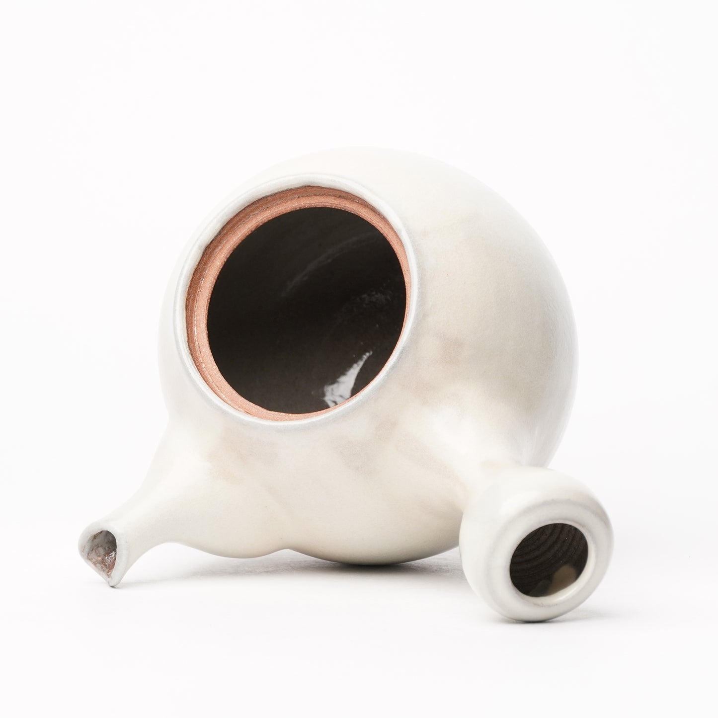 Toshinobu Araya Ryukakugama Kohiki Tea Pot
