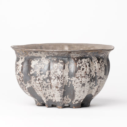 Nobuko Konno planter Black