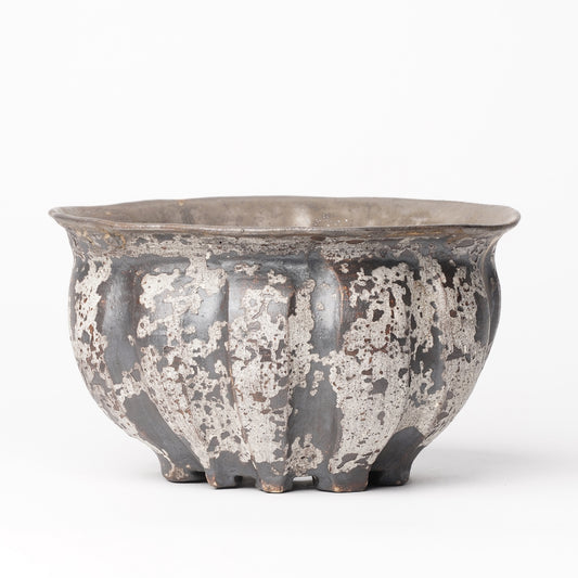 Nobuko Konno planter Black