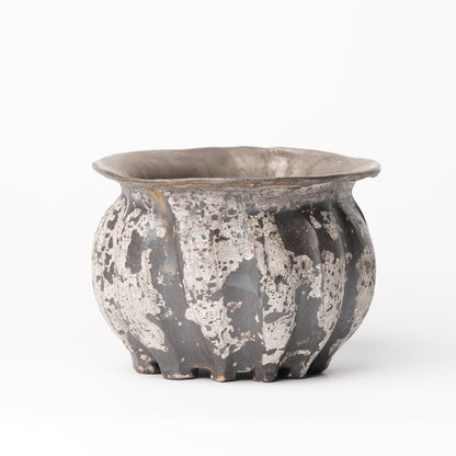 Nobuko Konno planter Black