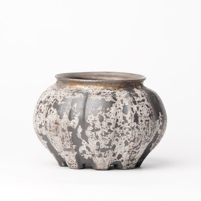 Nobuko Konno planter Black