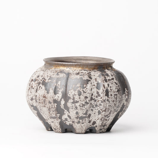 Nobuko Konno planter Black