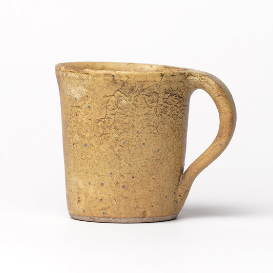 Toru Kikuchi Mug