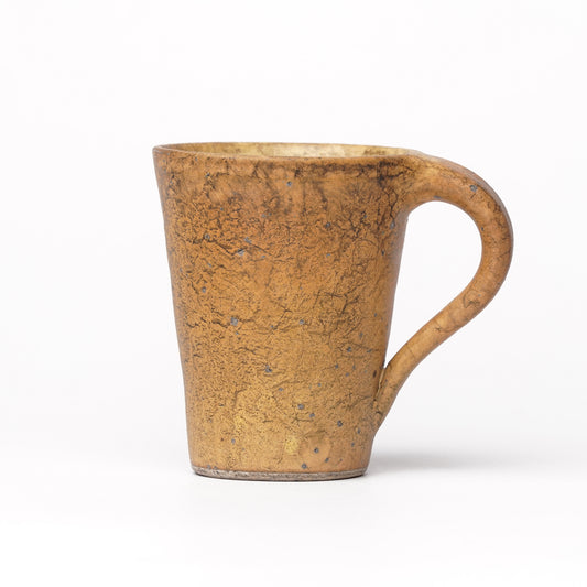 Toru Kikuchi Mug