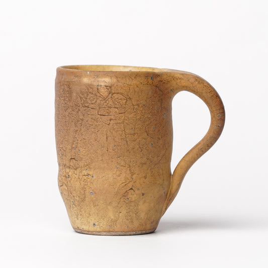 Toru Kikuchi Mug