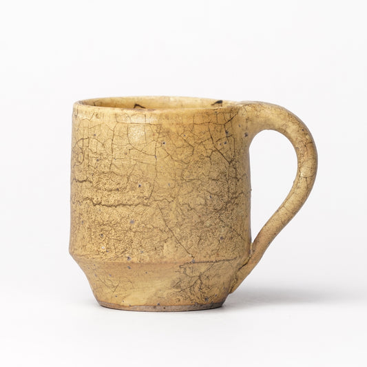 Toru Kikuchi Mug