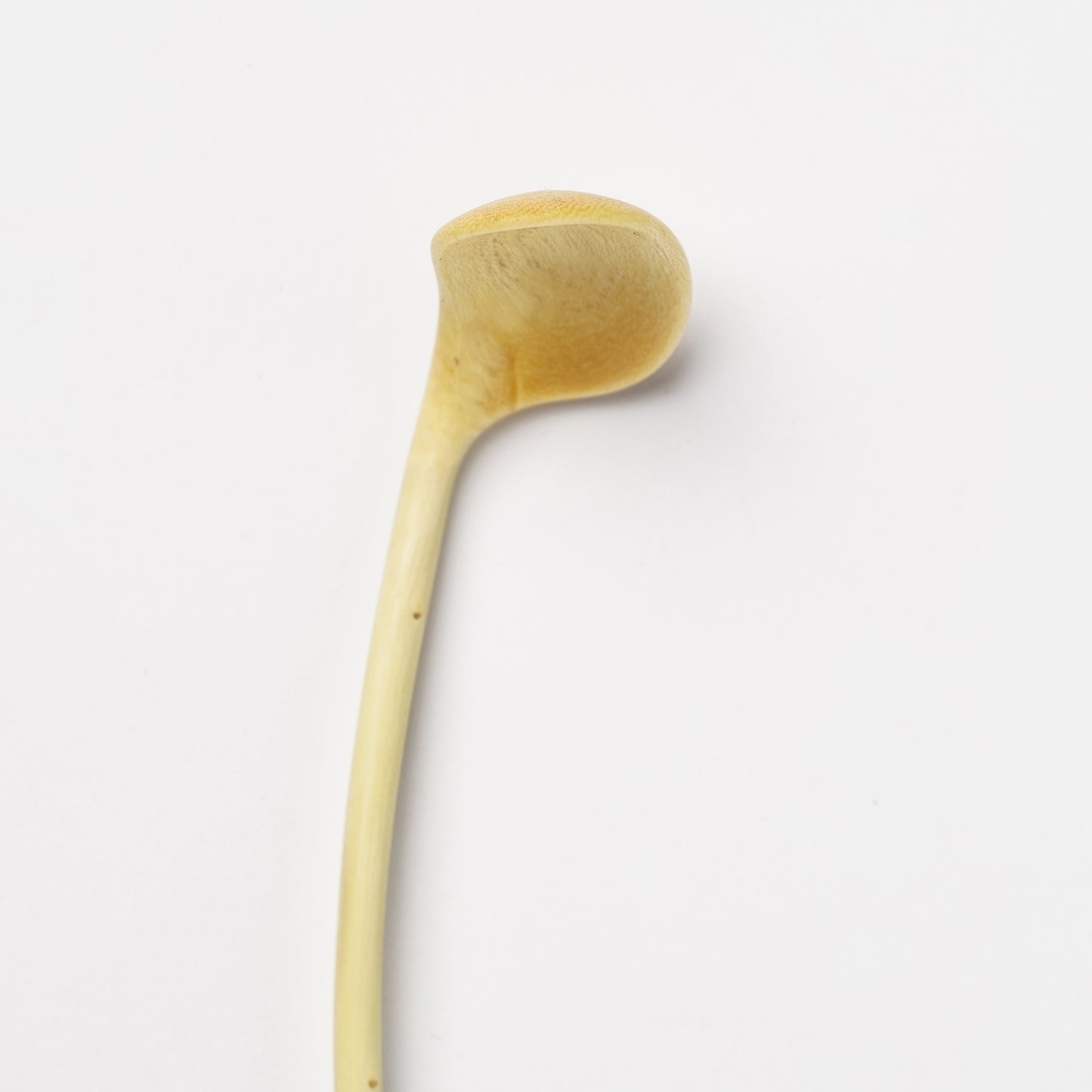 Ibuki Kaiyama Spoon of Branchese SS Japanese Zelkova tree