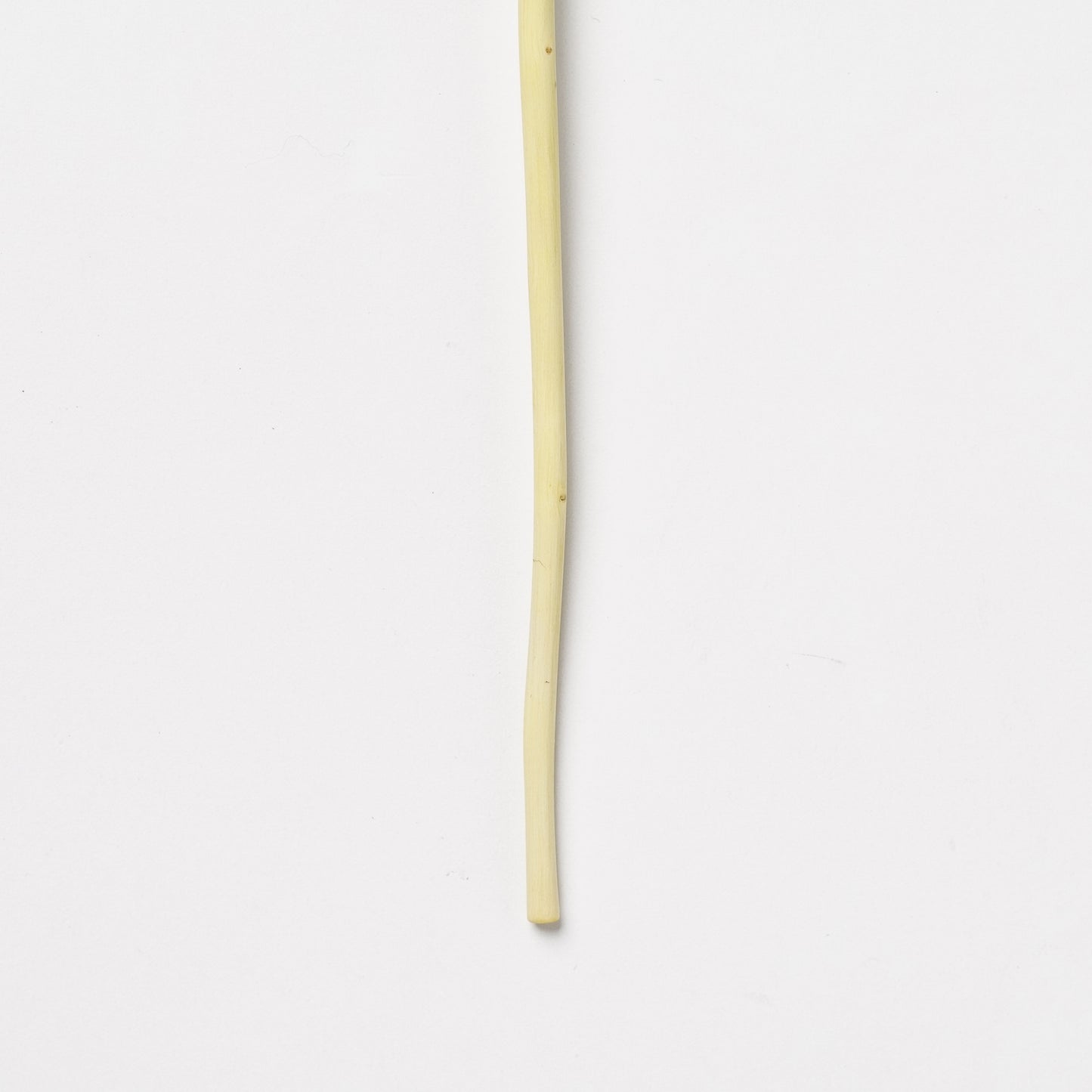 Ibuki Kaiyama Spoon of Branchese SS Japanese Zelkova tree