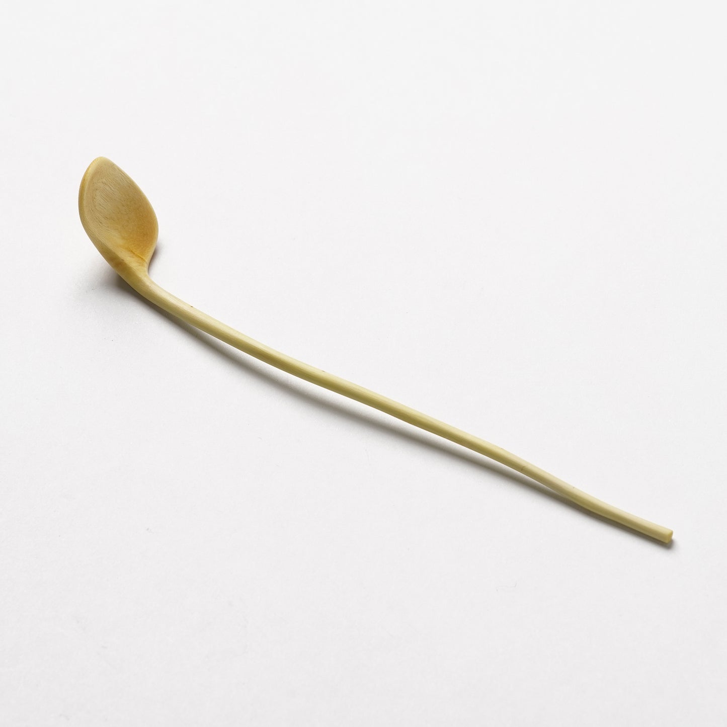Ibuki Kaiyama Spoon of Branchese SS Japanese Zelkova tree