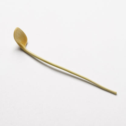 Ibuki Kaiyama Spoon of Branchese SS Japanese Zelkova tree
