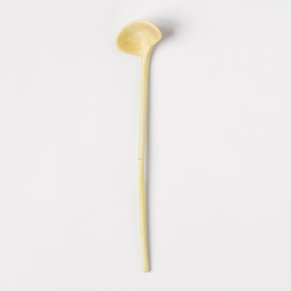 Ibuki Kaiyama Spoon of Branchese SS Japanese Zelkova tree