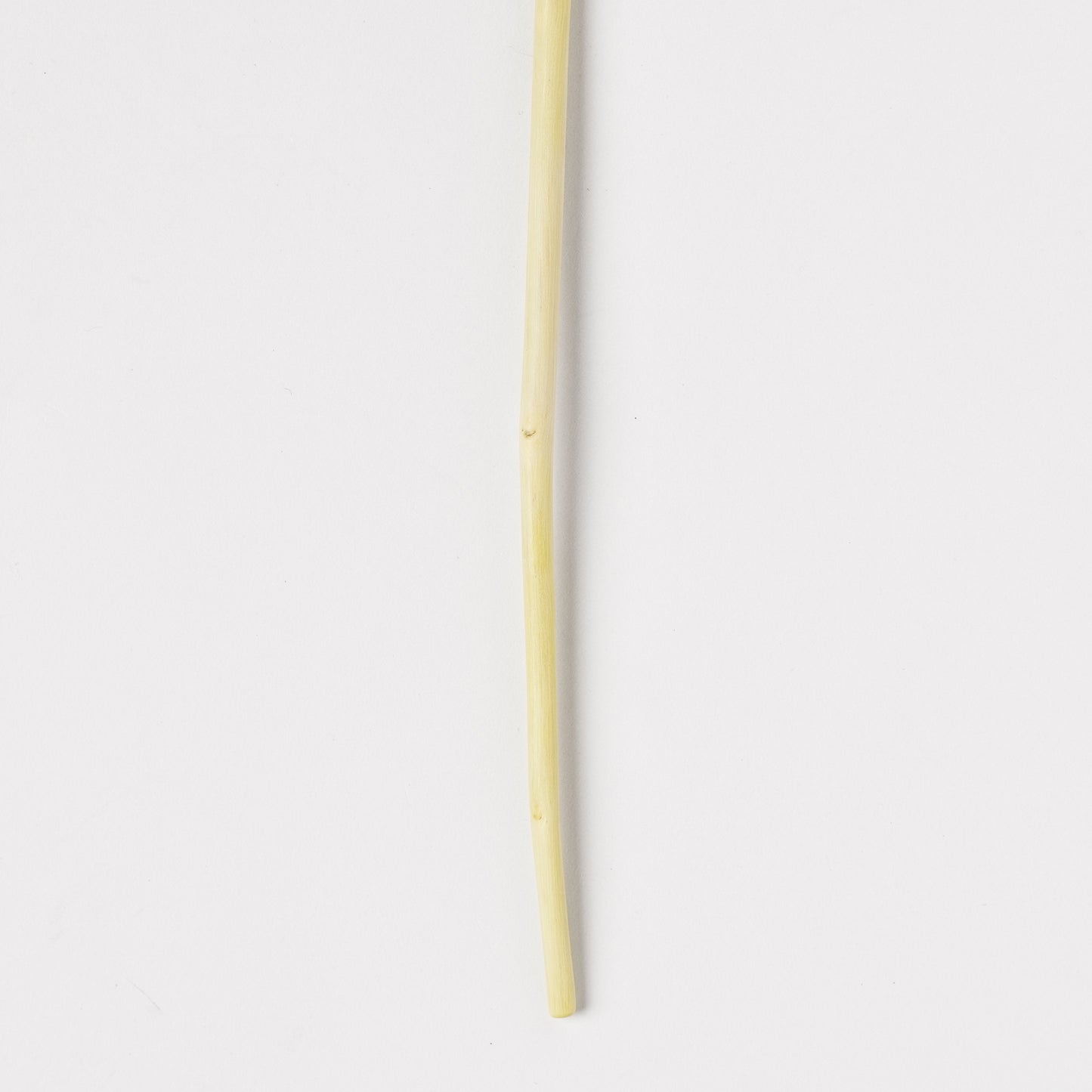 Ibuki Kaiyama Spoon of Branchese SS Japanese Zelkova tree