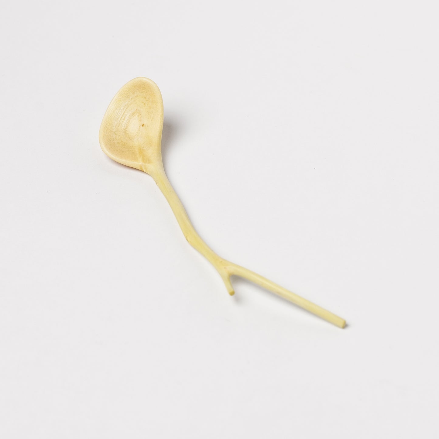 Ibuki Kaiyama Spoon of Branchese SS Japanese Zelkova tree