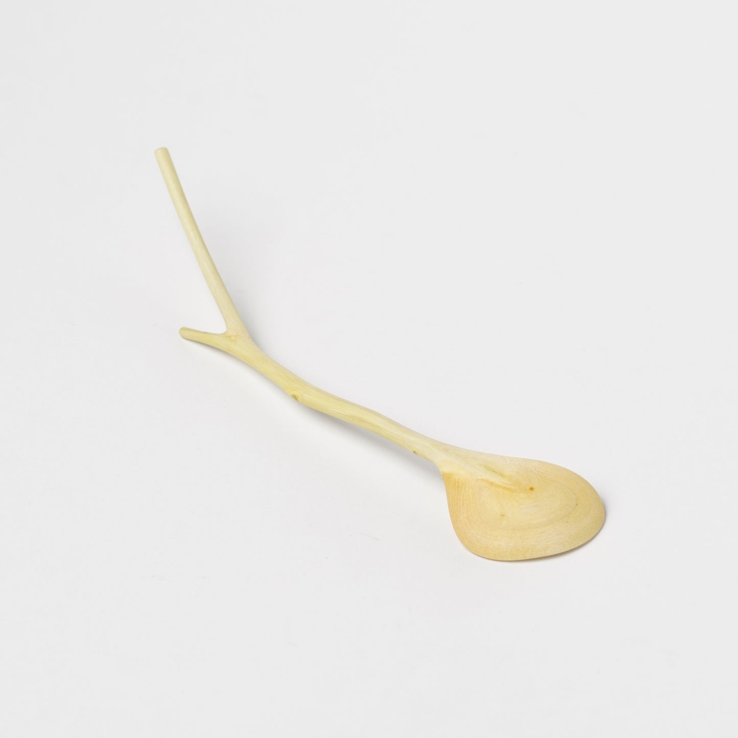 Ibuki Kaiyama Spoon of Branchese SS Japanese Zelkova tree