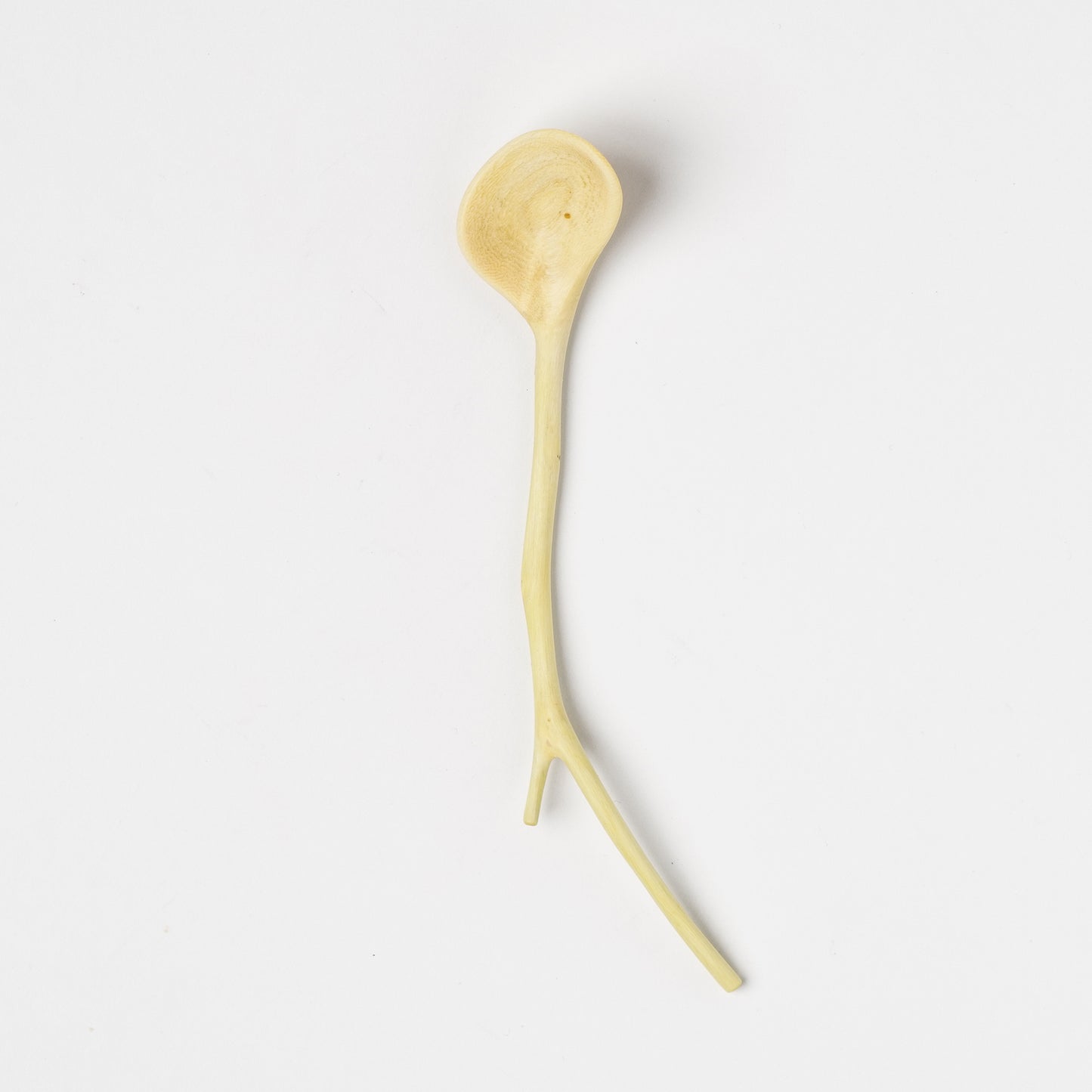 Ibuki Kaiyama Spoon of Branchese SS Japanese Zelkova tree