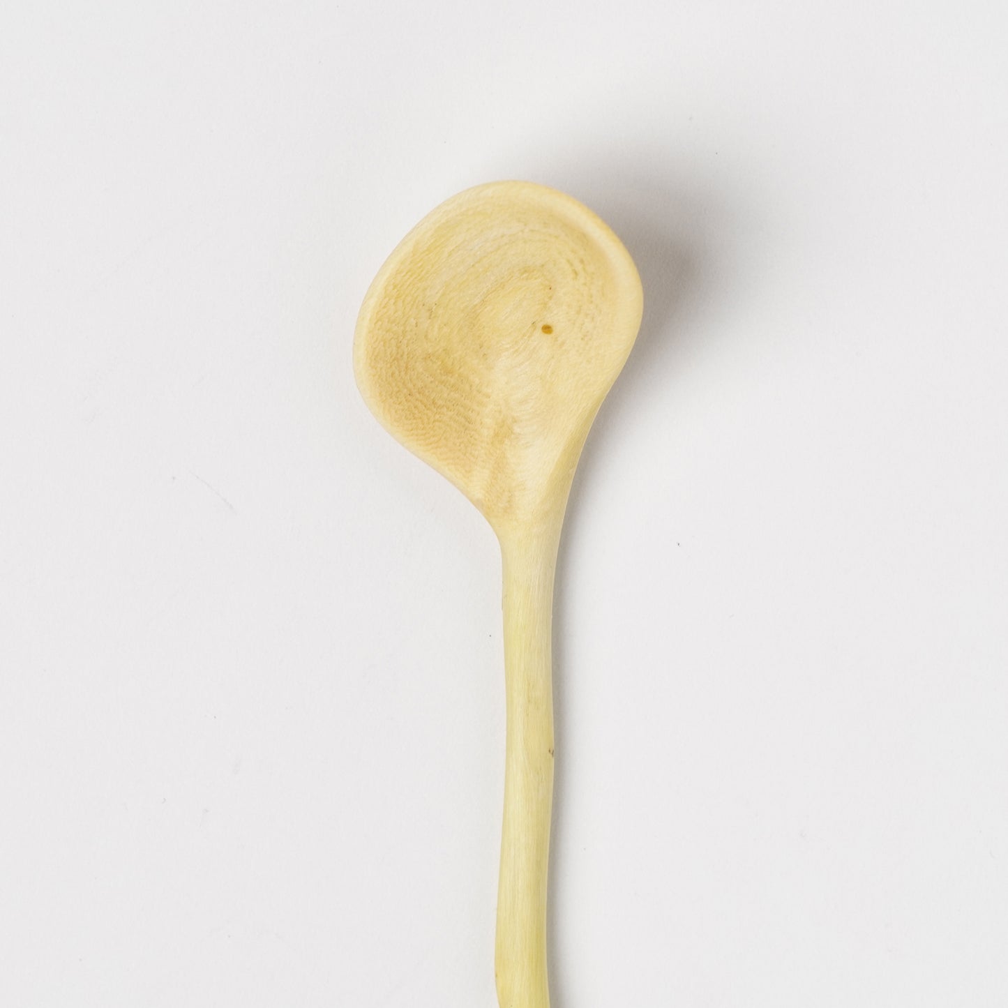 Ibuki Kaiyama Spoon of Branchese SS Japanese Zelkova tree