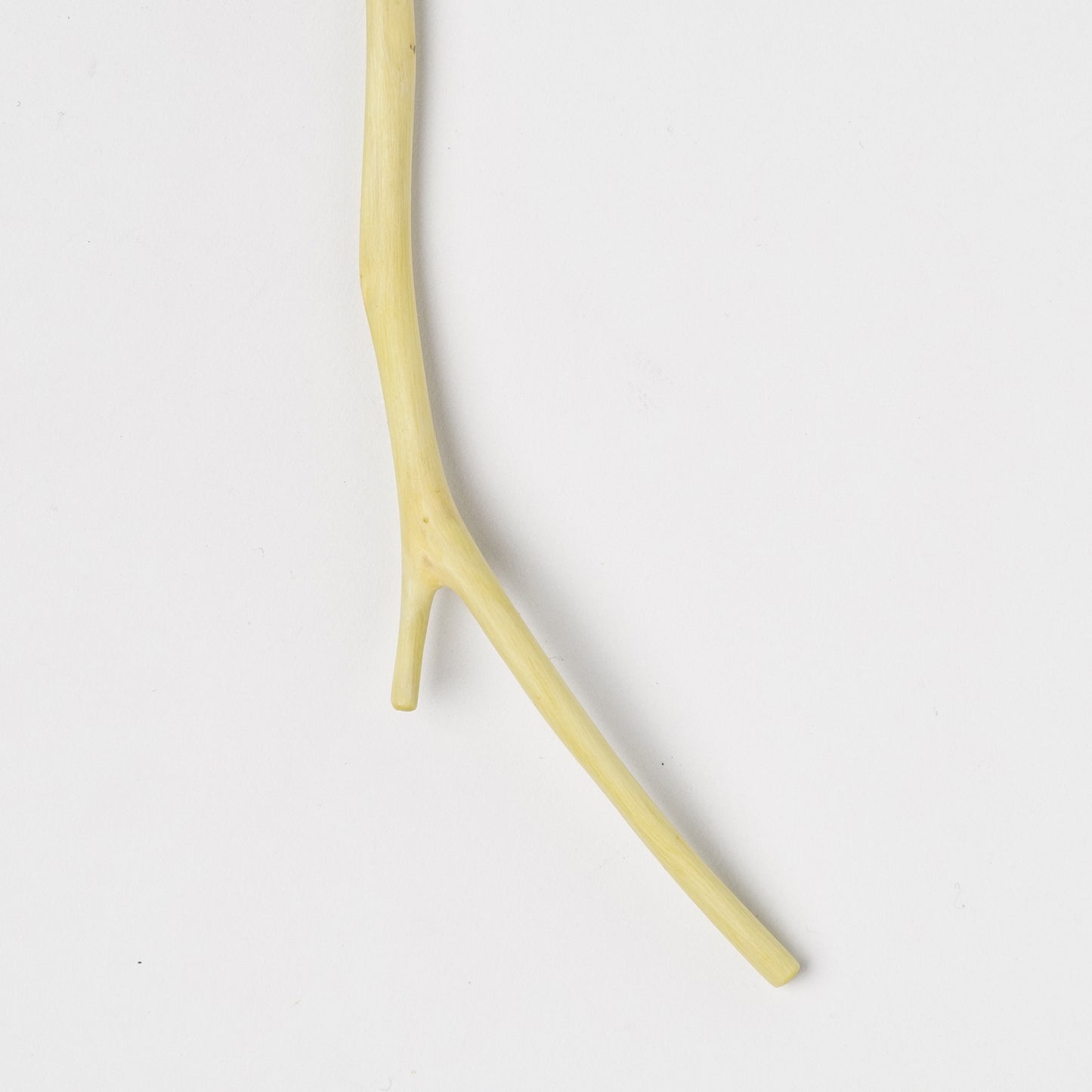 Ibuki Kaiyama Spoon of Branchese SS Japanese Zelkova tree