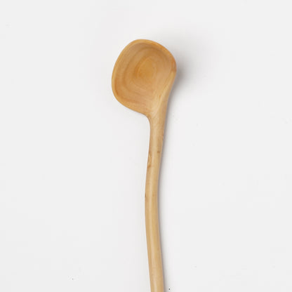 Ibuki Kaiyama Spoon of Branchese S Yoshino Cherry tree