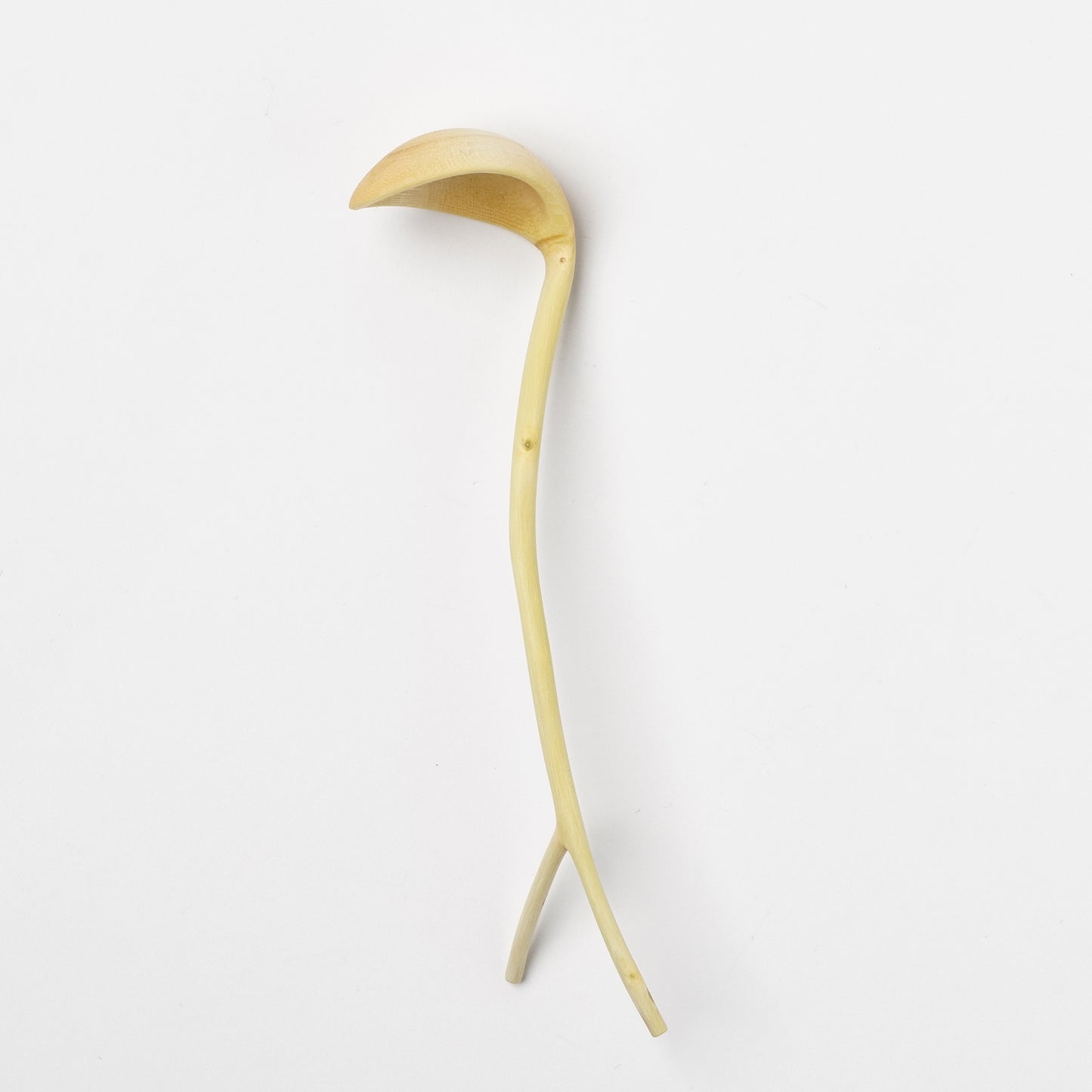 Ibuki Kaiyama Spoon of Branchese S Japanese Zelkova tree