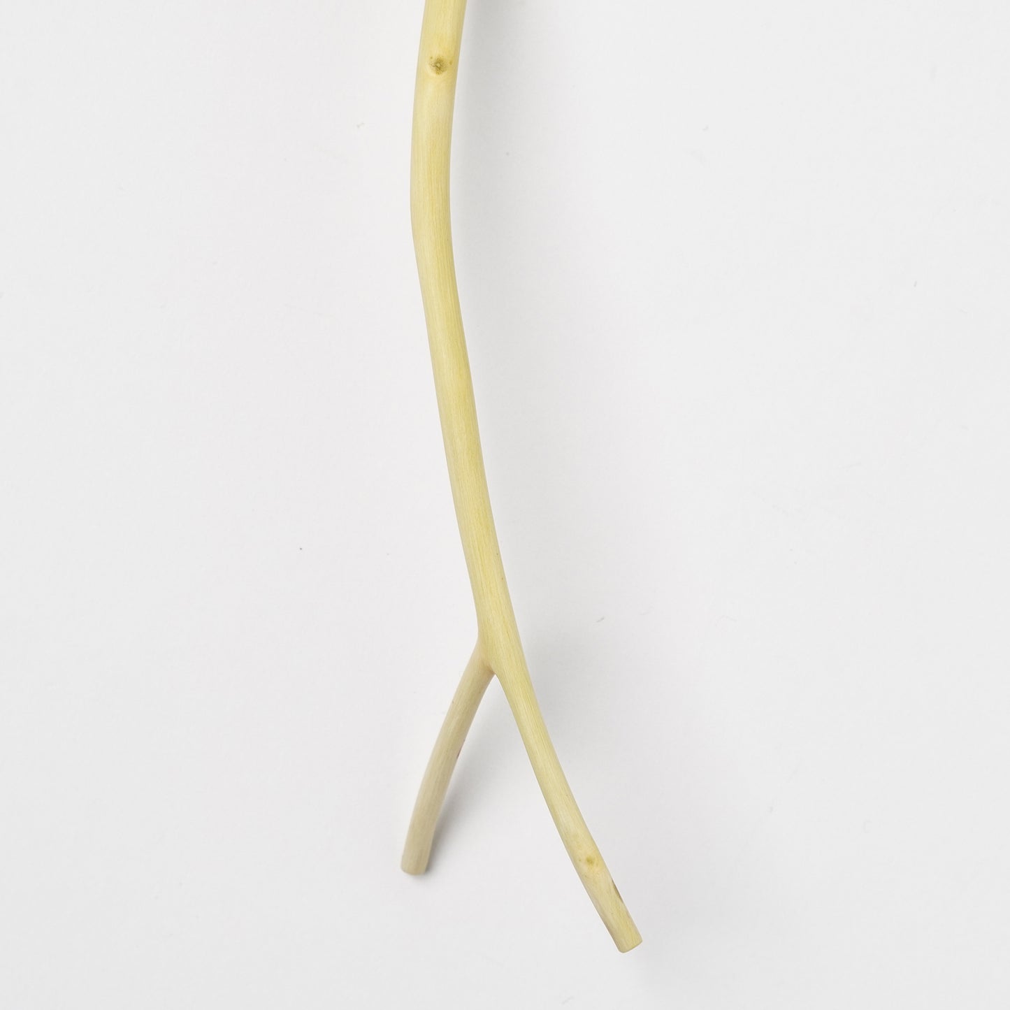 Ibuki Kaiyama Spoon of Branchese S Japanese Zelkova tree