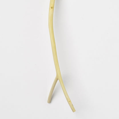 Ibuki Kaiyama Spoon of Branchese S Japanese Zelkova tree