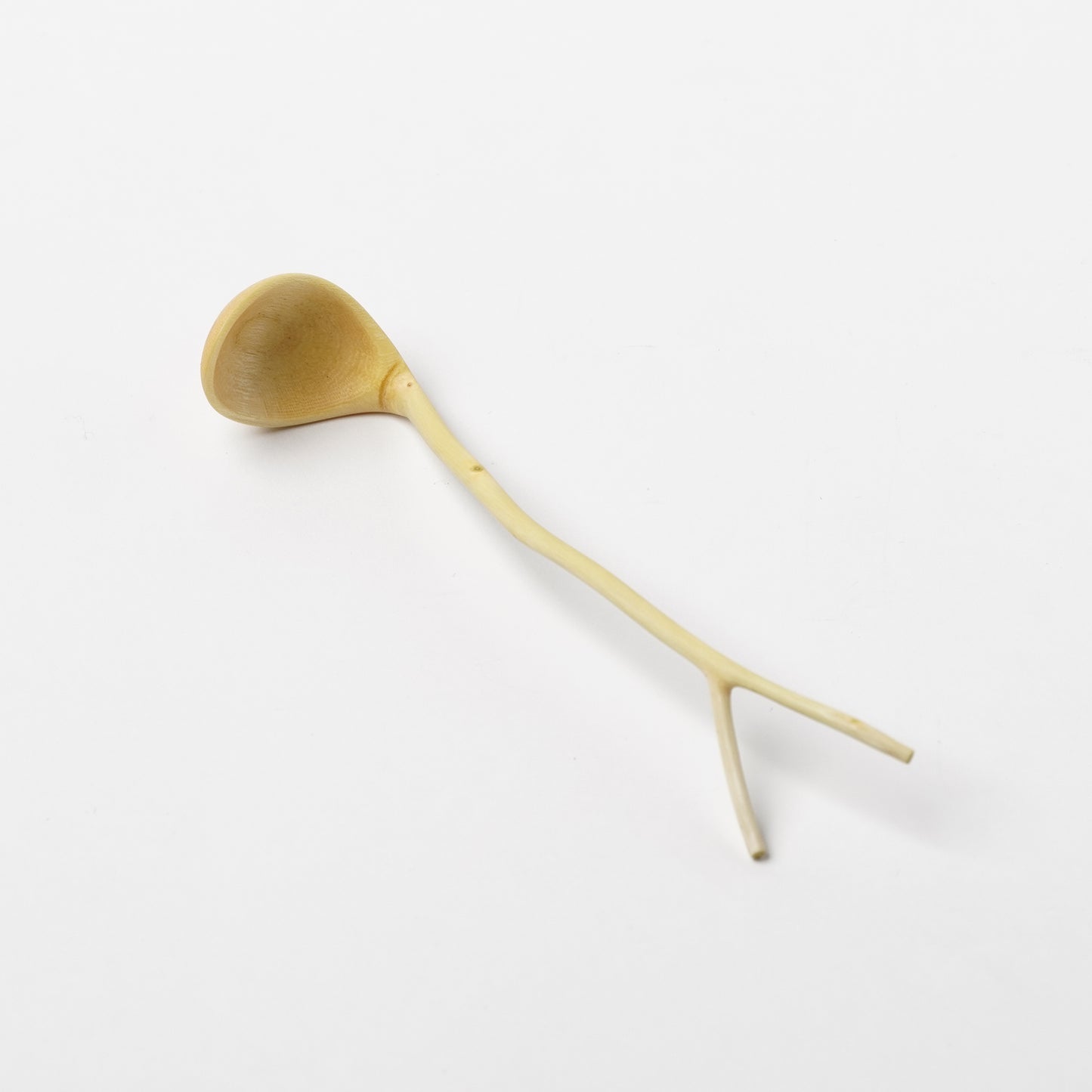 Ibuki Kaiyama Spoon of Branchese S Japanese Zelkova tree