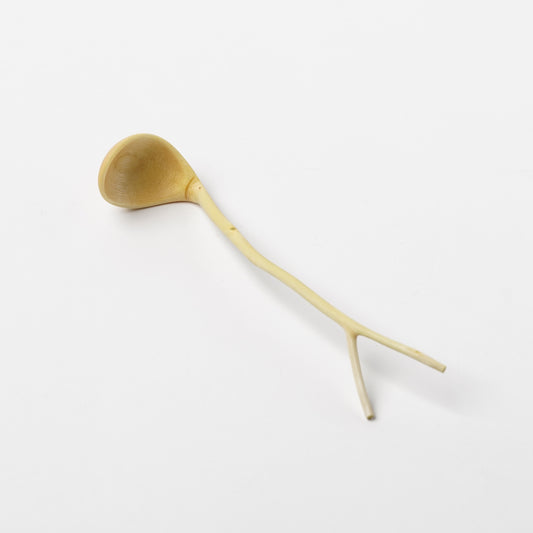 Ibuki Kaiyama Spoon of Branchese S Japanese Zelkova tree