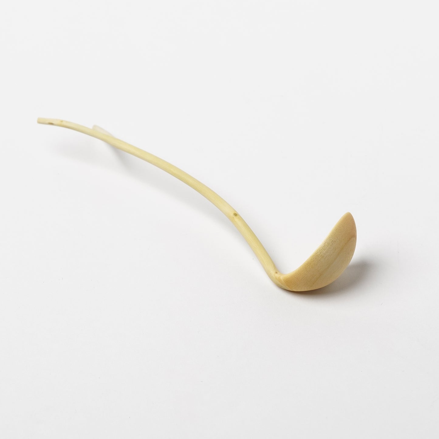 Ibuki Kaiyama Spoon of Branchese S Japanese Zelkova tree