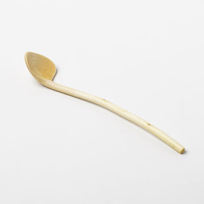 Ibuki Kaiyama Spoon of Branchese S Japanese Zelkova tree