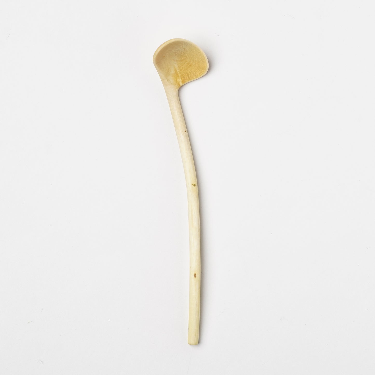 Ibuki Kaiyama Spoon of Branchese S Japanese Zelkova tree