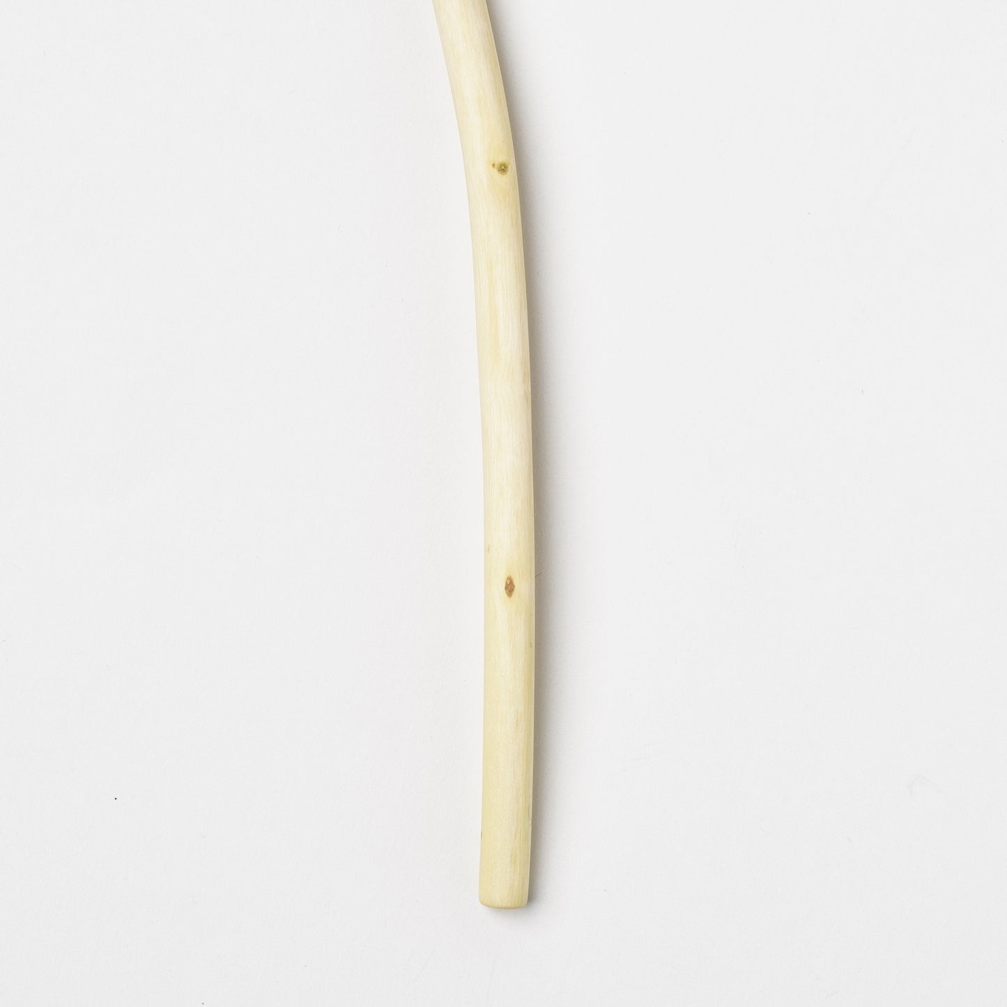 Ibuki Kaiyama Spoon of Branchese S Japanese Zelkova tree