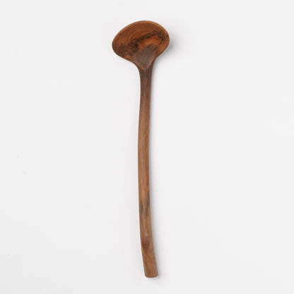 Ibuki Kaiyama Spoon of Branchese M Japanese Mountain Cherry tree