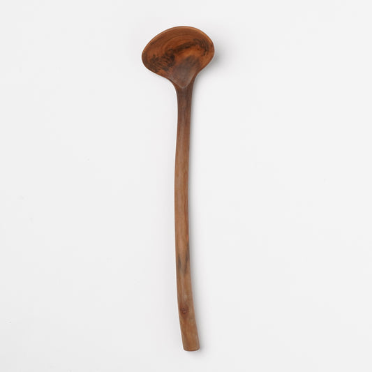 Ibuki Kaiyama Spoon of Branchese M Japanese Mountain Cherry tree