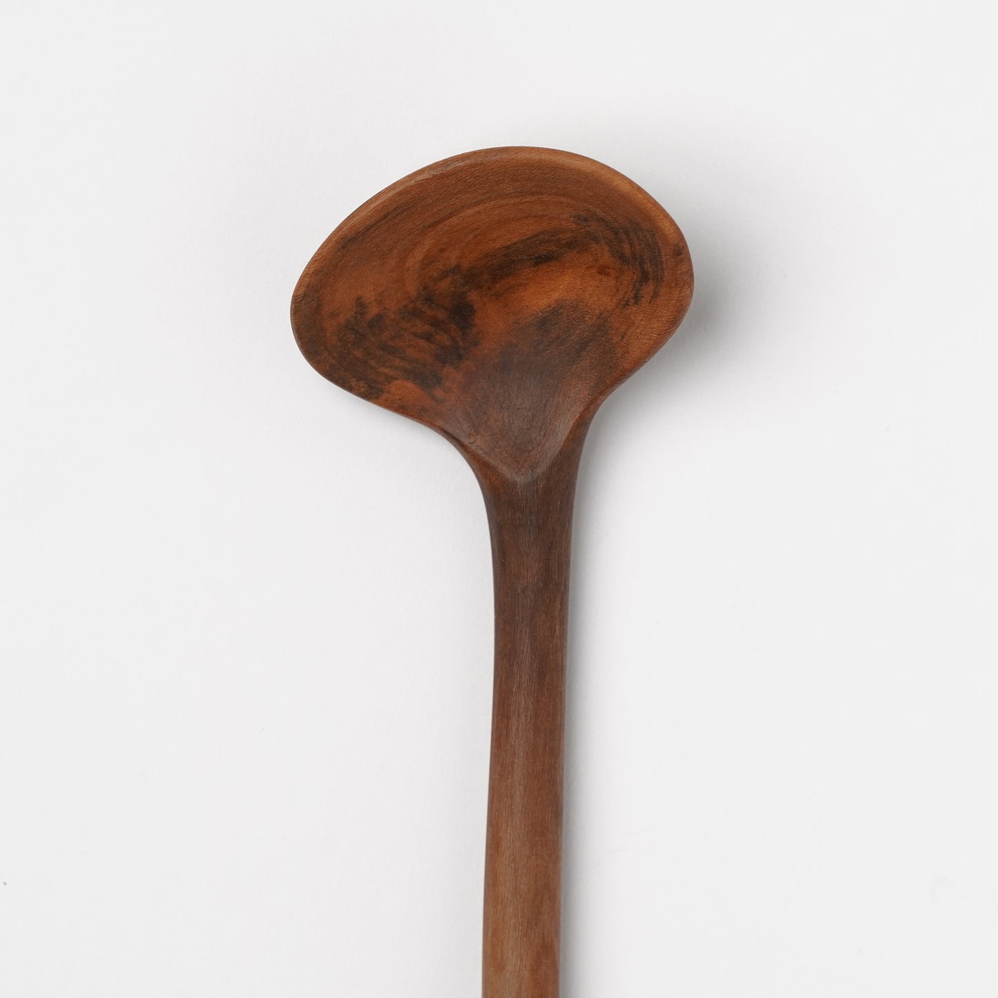 Ibuki Kaiyama Spoon of Branchese M Japanese Mountain Cherry tree