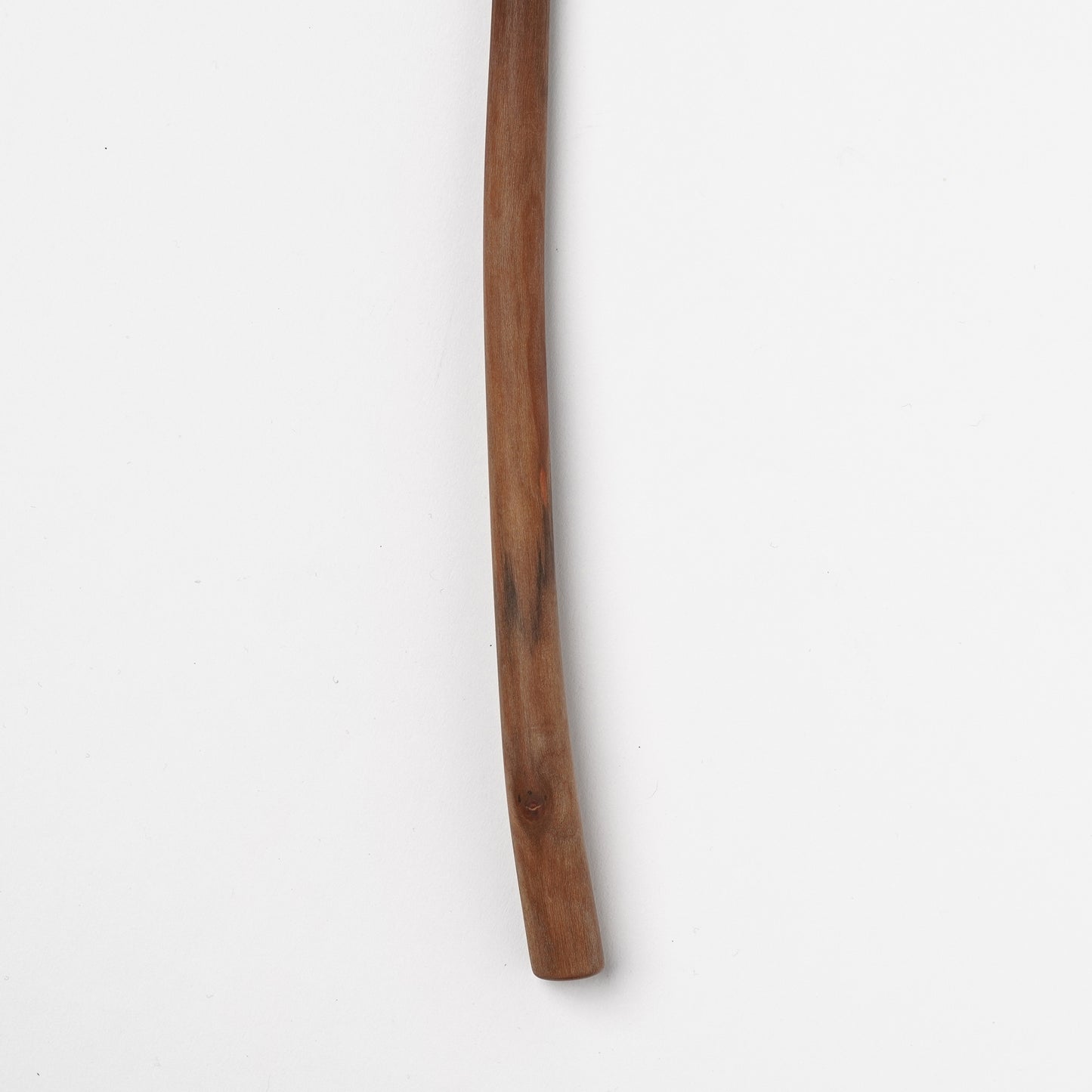 Ibuki Kaiyama Spoon of Branchese M Japanese Mountain Cherry tree