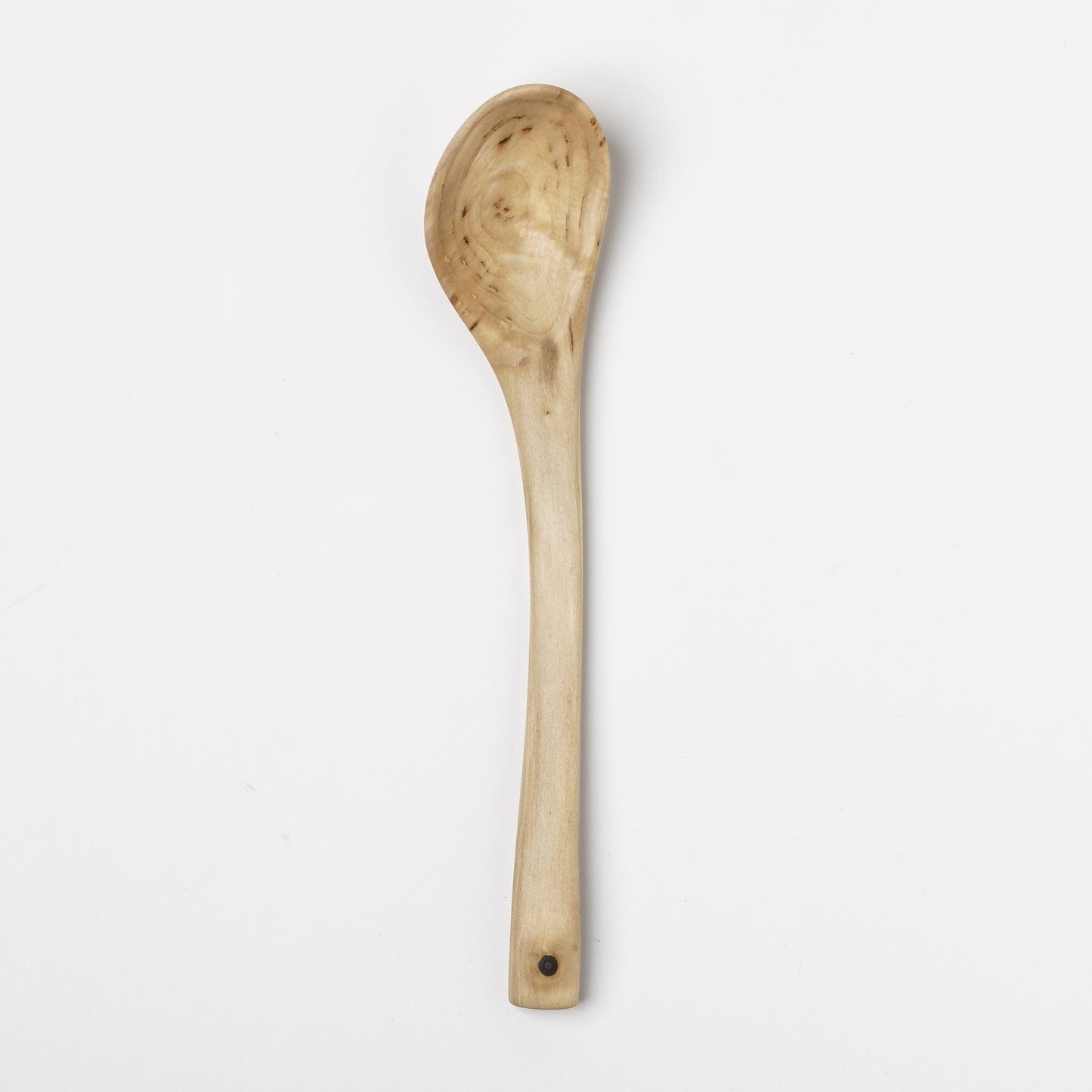 Ibuki Kaiyama Spoon of Branchese M Japanese Cucumber tree