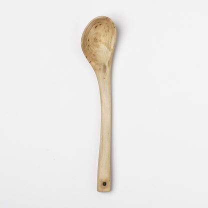 Ibuki Kaiyama Spoon of Branchese M Japanese Cucumber tree