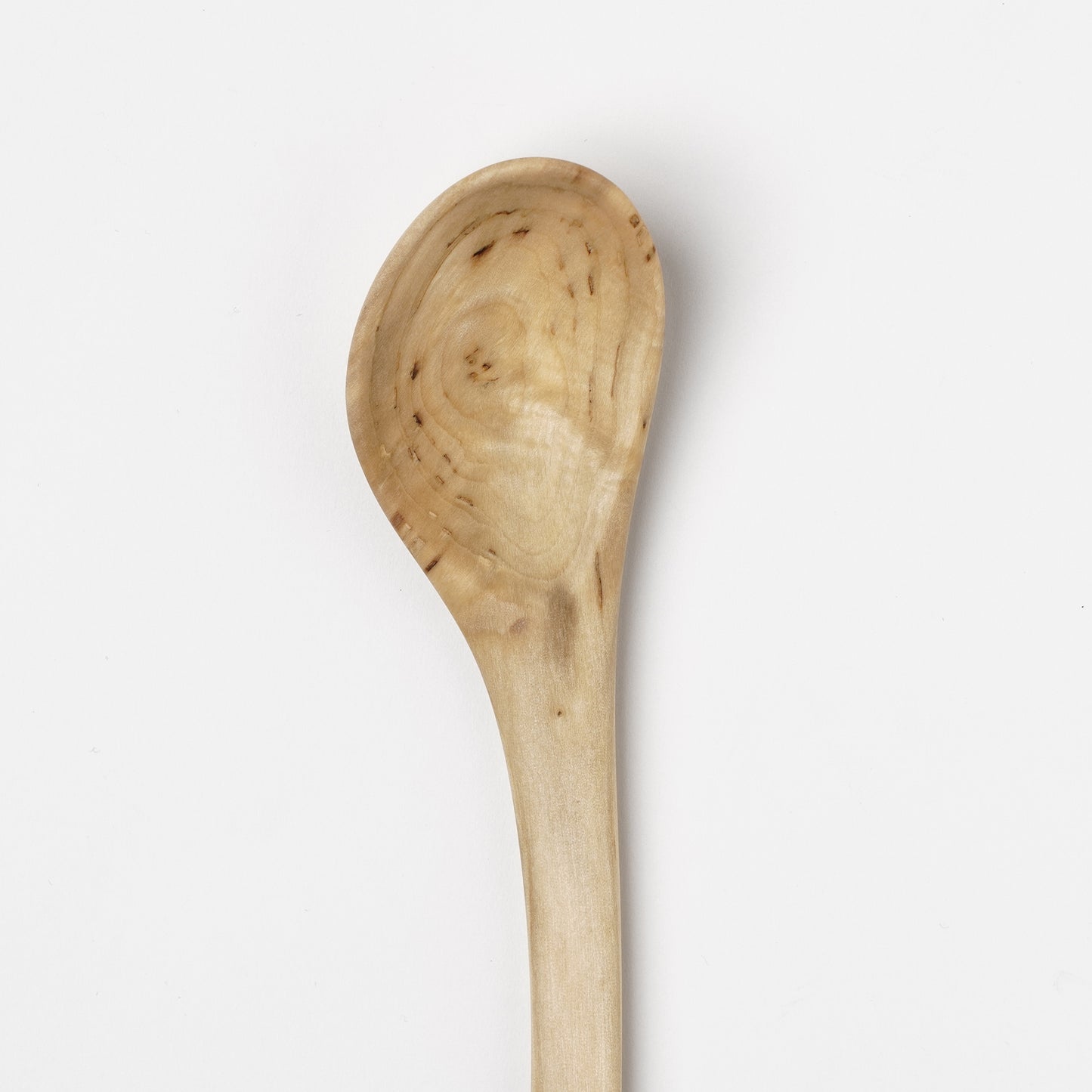 Ibuki Kaiyama Spoon of Branchese M Japanese Cucumber tree