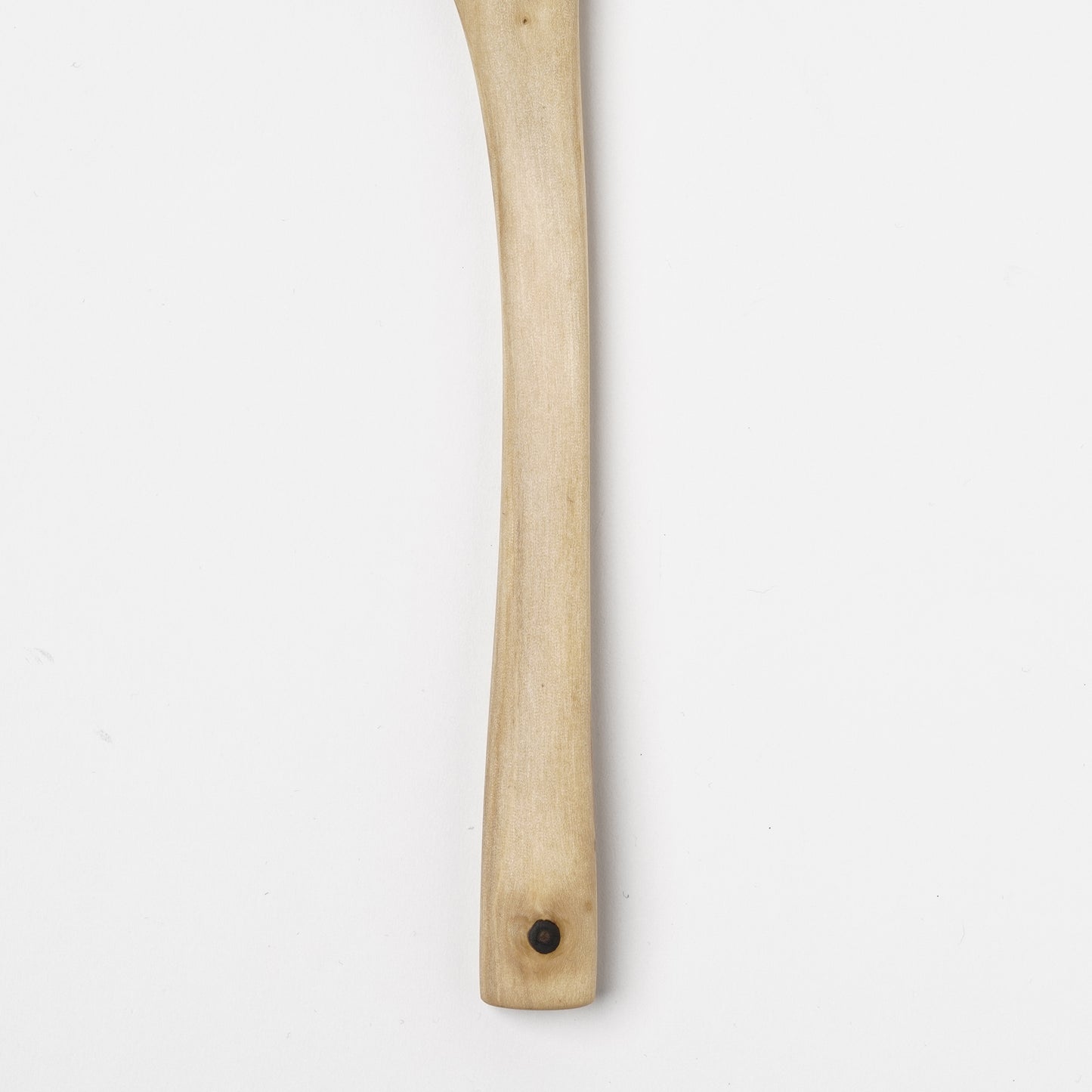 Ibuki Kaiyama Spoon of Branchese M Japanese Cucumber tree